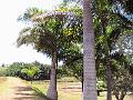 28 - Jardin des eaux 039